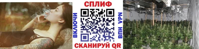  Кокаин Александровск-Сахалинский
