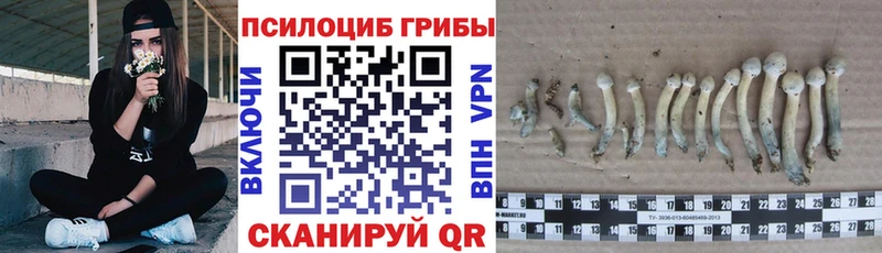 Псилоцибиновые грибы мухоморы  Александровск-Сахалинский 